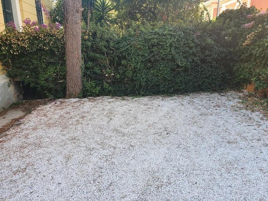 Suite La Marinella Localita Caccia Riserva Santa Marinella Εξωτερικό φωτογραφία